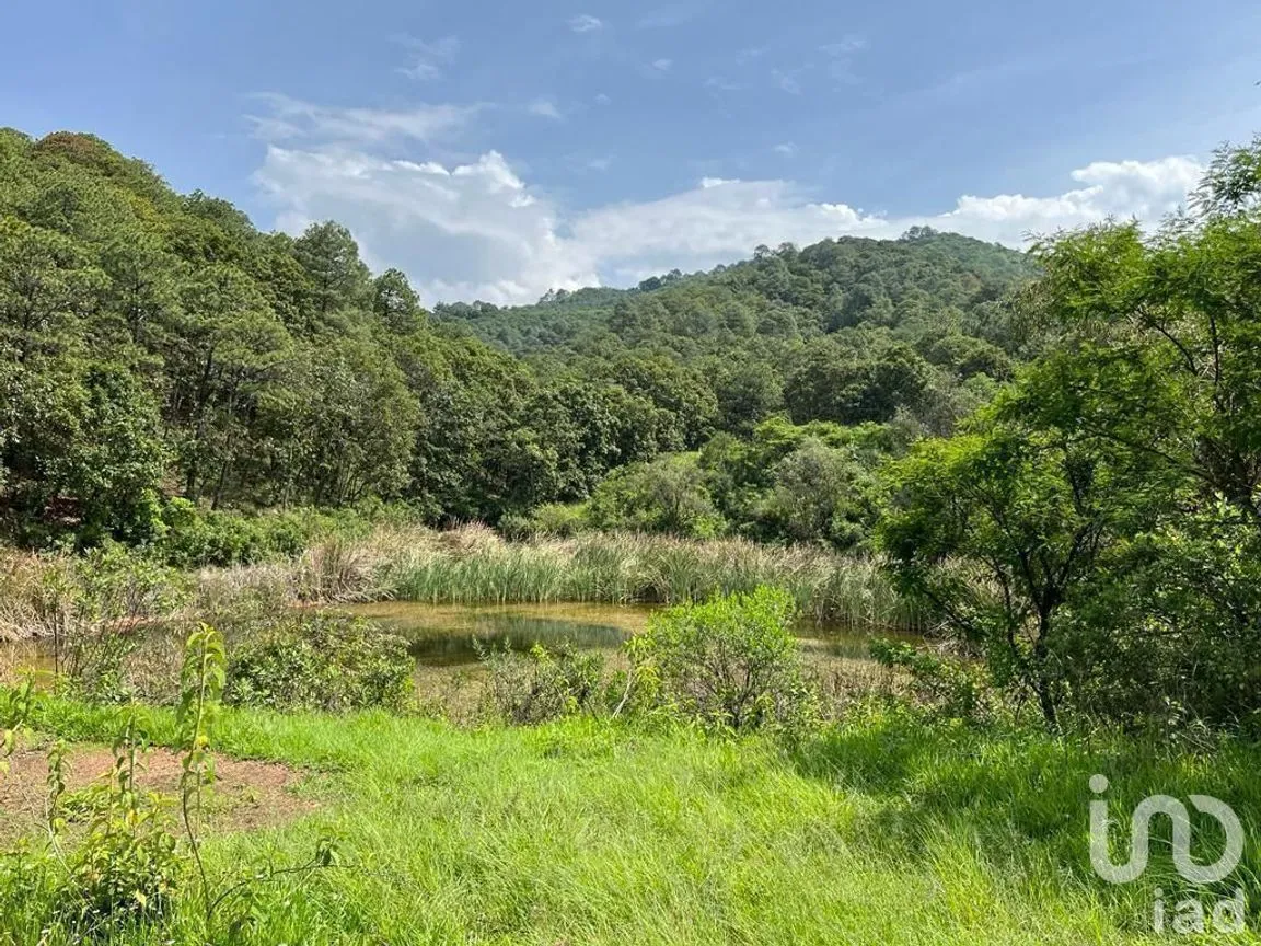Terreno en Venta en Valle de Bravo, Valle de Bravo, Estado De México | NEX-232169 | iad México | Foto 16 de 24