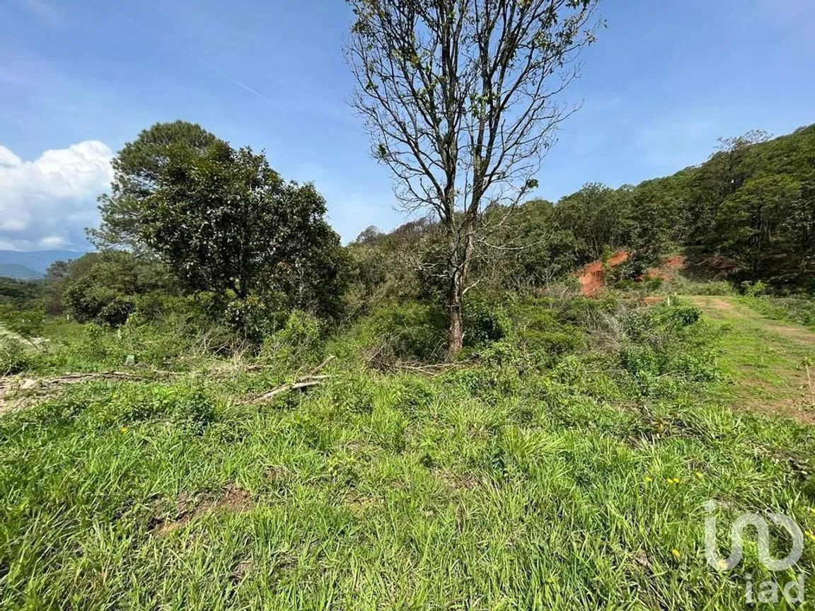 Terreno en Venta en Valle de Bravo, Valle de Bravo, Estado De México | NEX-232169 | iad México | Foto 17 de 24
