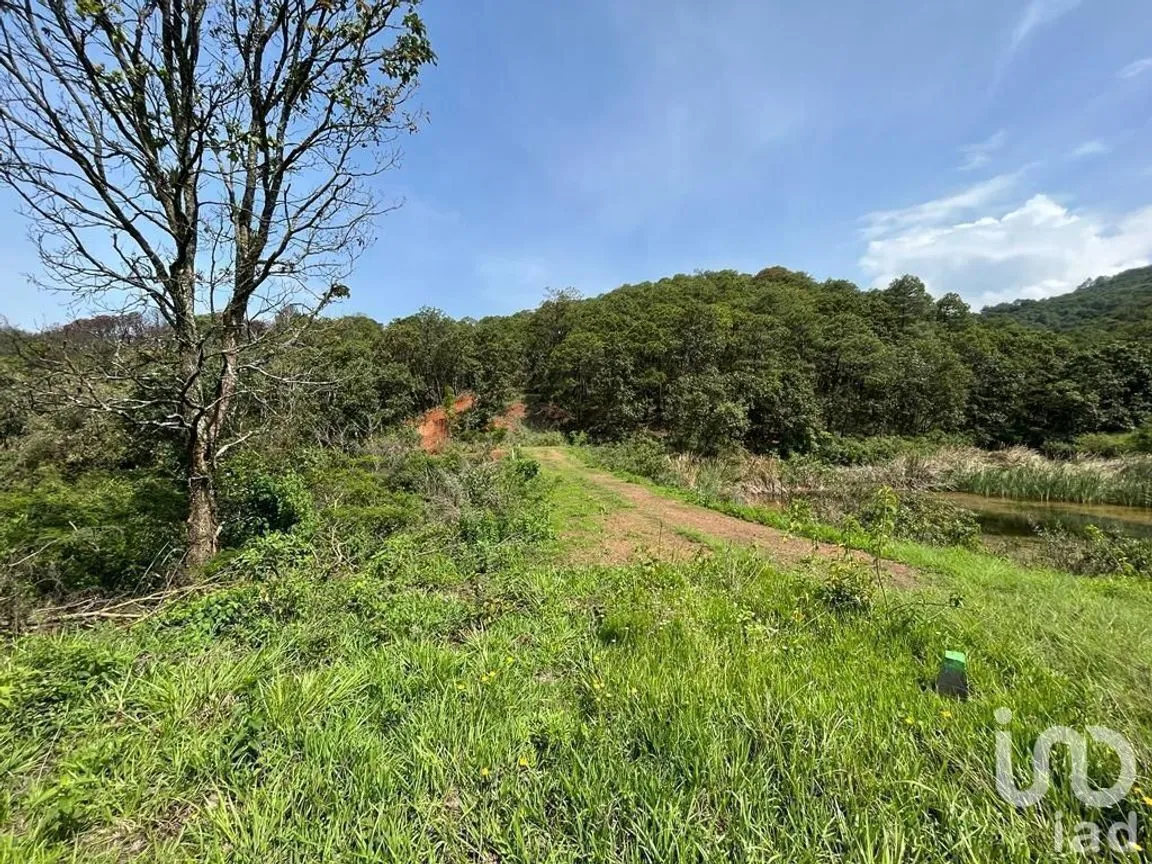 Terreno en Venta en Valle de Bravo, Valle de Bravo, Estado De México | NEX-232169 | iad México | Foto 18 de 24