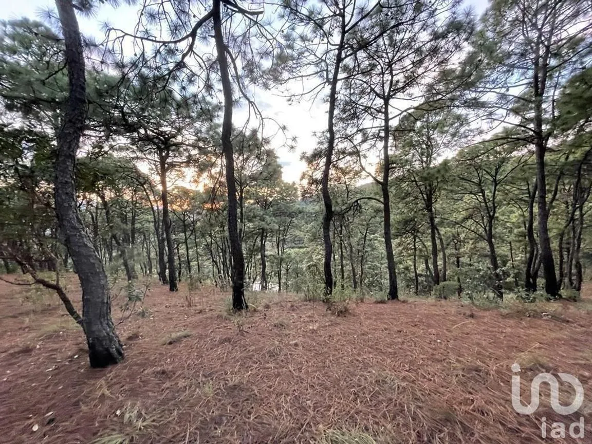 Terreno en Venta en Valle de Bravo, Valle de Bravo, Estado De México | NEX-232169 | iad México | Foto 19 de 24