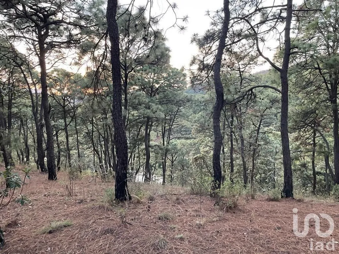 Terreno en Venta en Valle de Bravo, Valle de Bravo, Estado De México | NEX-232169 | iad México | Foto 20 de 24