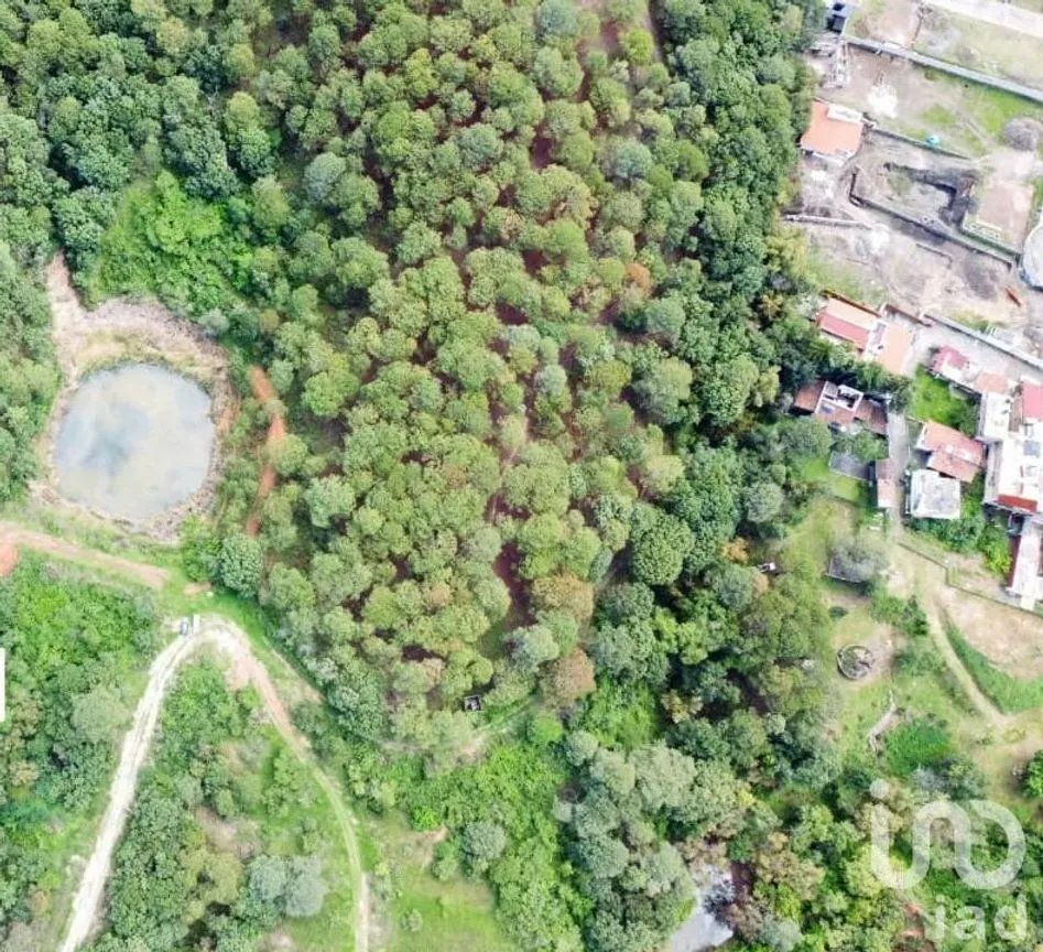 Terreno en Venta en Valle de Bravo, Valle de Bravo, Estado De México | NEX-232169 | iad México | Foto 3 de 24