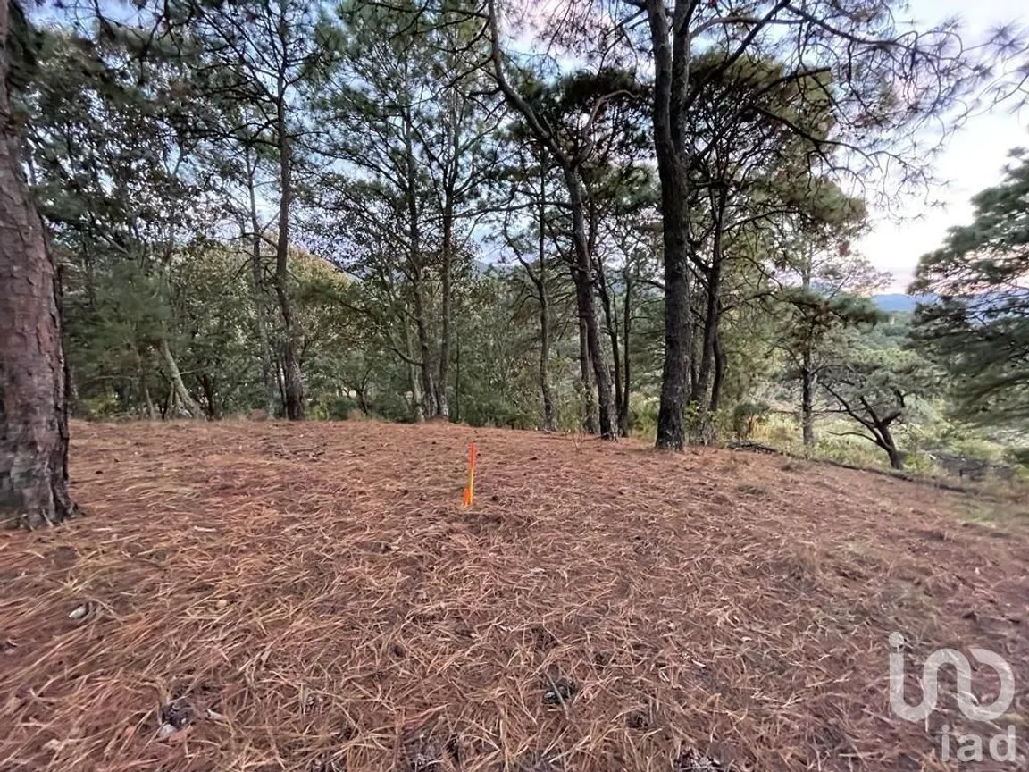Terreno en Venta en Valle de Bravo, Valle de Bravo, Estado De México | NEX-232169 | iad México | Foto 21 de 24