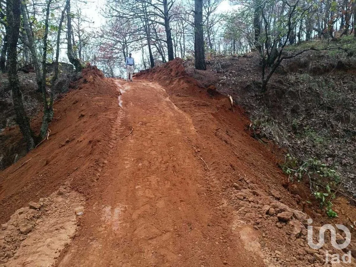 Terreno en Venta en Valle de Bravo, Valle de Bravo, Estado De México | NEX-232169 | iad México | Foto 23 de 24