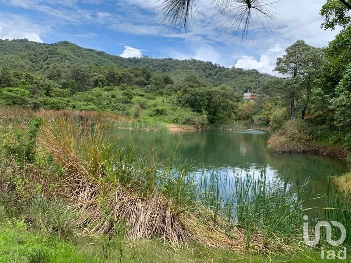 Terreno en Venta en Valle de Bravo, Valle de Bravo, Estado De México | NEX-232169 | iad México | Foto 7 de 24