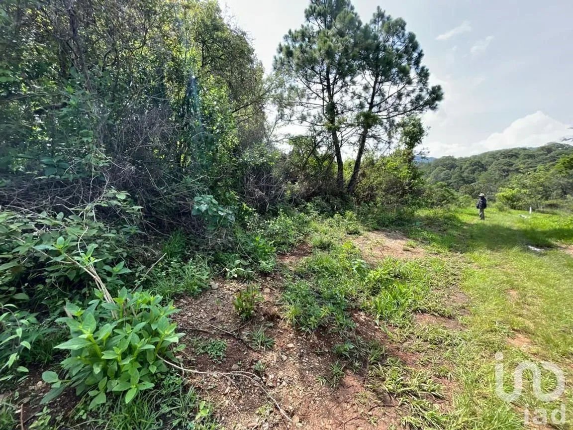 Terreno en Venta en Valle de Bravo, Valle de Bravo, Estado De México | NEX-232169 | iad México | Foto 8 de 24