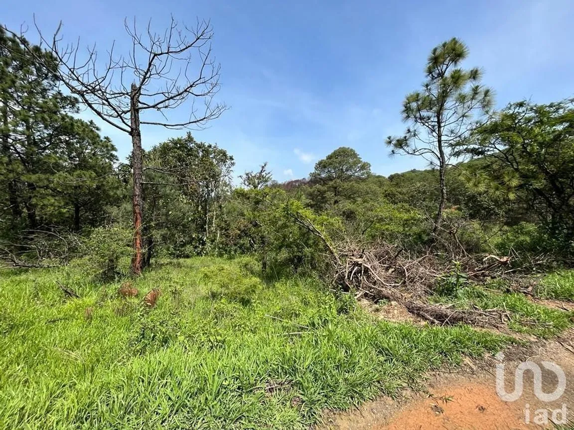 Terreno en Venta en Valle de Bravo, Valle de Bravo, Estado De México | NEX-232169 | iad México | Foto 9 de 24