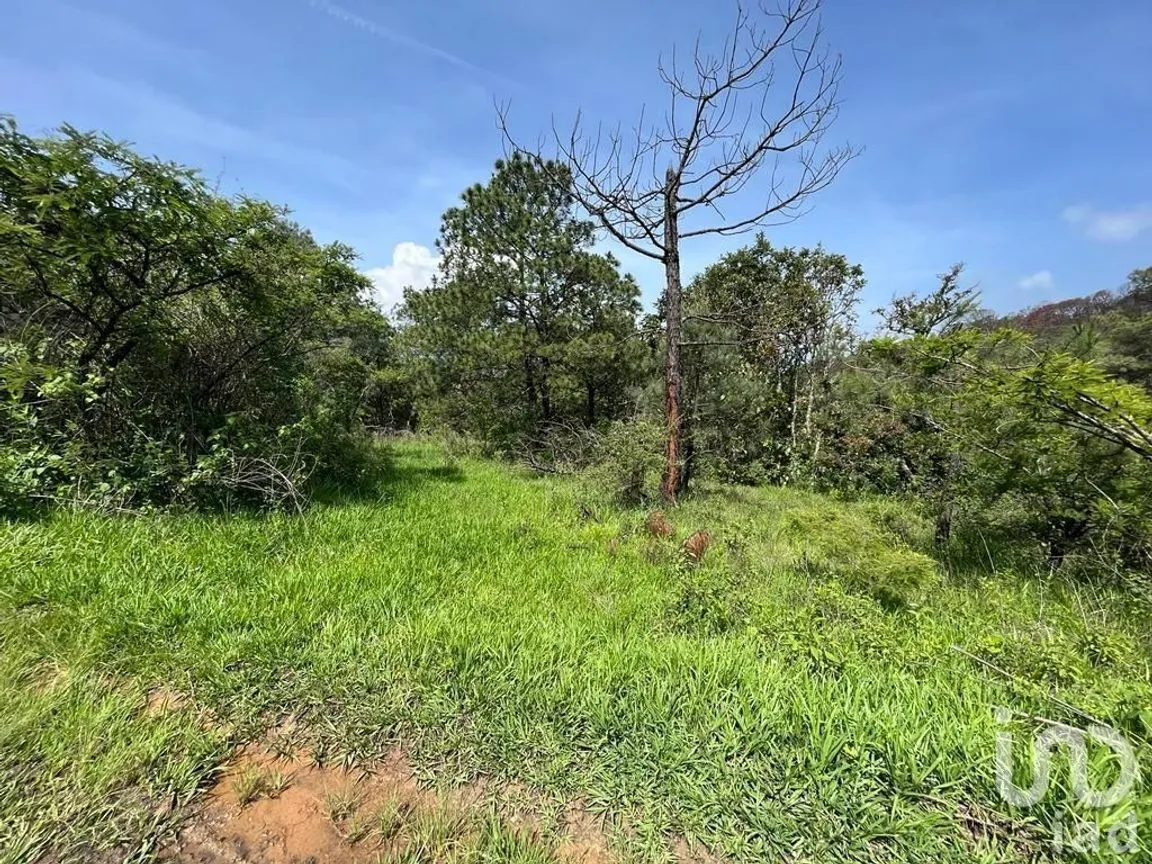 Terreno en Venta en Valle de Bravo, Valle de Bravo, Estado De México | NEX-232169 | iad México | Foto 10 de 24