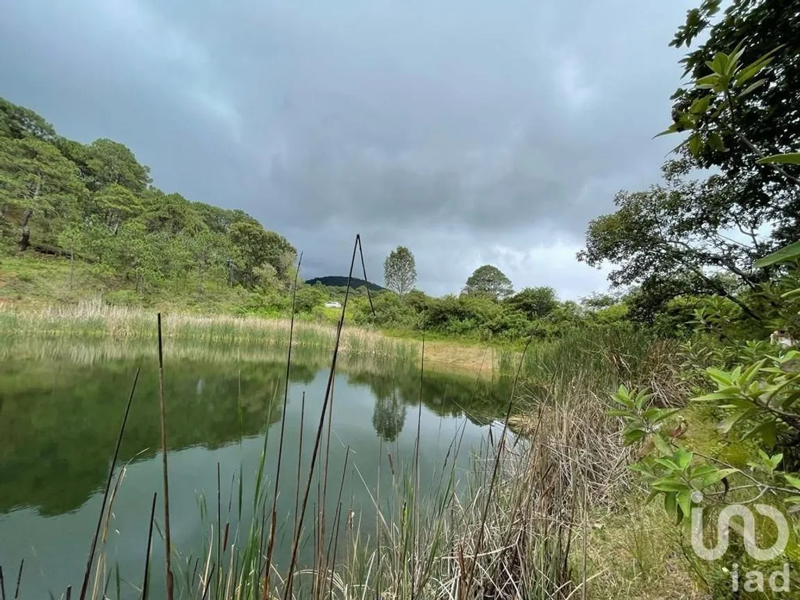Terreno en Venta en Valle de Bravo, Valle de Bravo, Estado De México | NEX-232169 | iad México | Foto 1 de 24