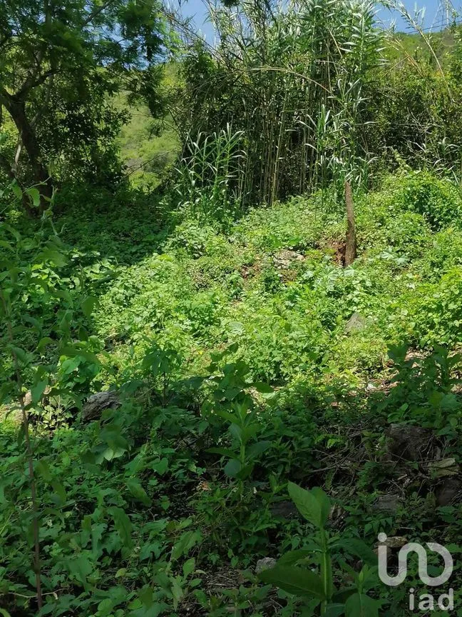 Terreno en Venta en San Gaspar, Valle de Bravo, Estado de México | NEX-269836 | iad México | Foto 14 de 37