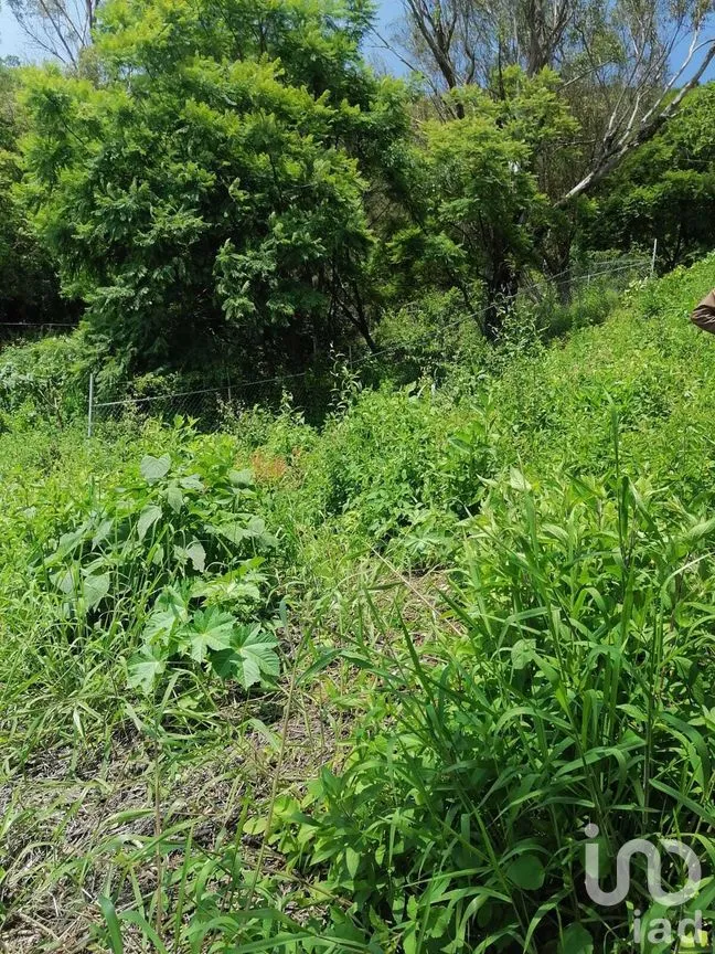 Terreno en Venta en San Gaspar, Valle de Bravo, Estado de México | NEX-269836 | iad México | Foto 15 de 37