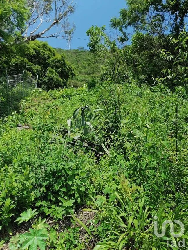 Terreno en Venta en San Gaspar, Valle de Bravo, Estado de México | NEX-269836 | iad México | Foto 16 de 37