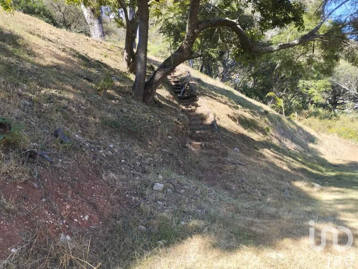 Terreno en Venta en San Gaspar, Valle de Bravo, Estado de México | NEX-269836 | iad México | Foto 31 de 37