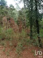 NEX-269845 - Terreno en Venta en El Manzano, CP 51237, Estado de México.