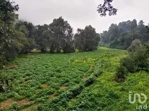 NEX-269847 - Terreno en Venta en San Bartolo, CP 51268, Estado de México.