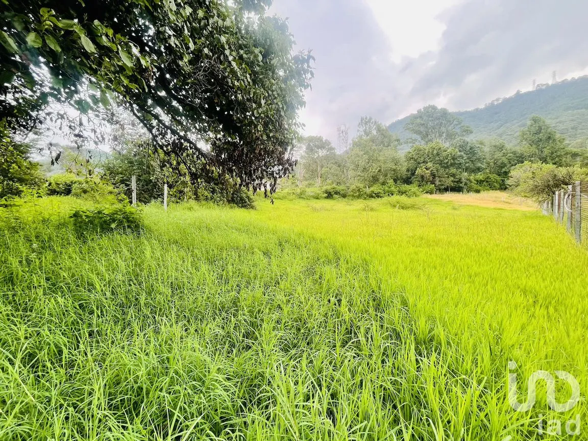 Terreno en Venta en Santa Magdalena Tilostoc, Valle de Bravo, Estado de México | NEX-273314 | iad México | Foto 4 de 13
