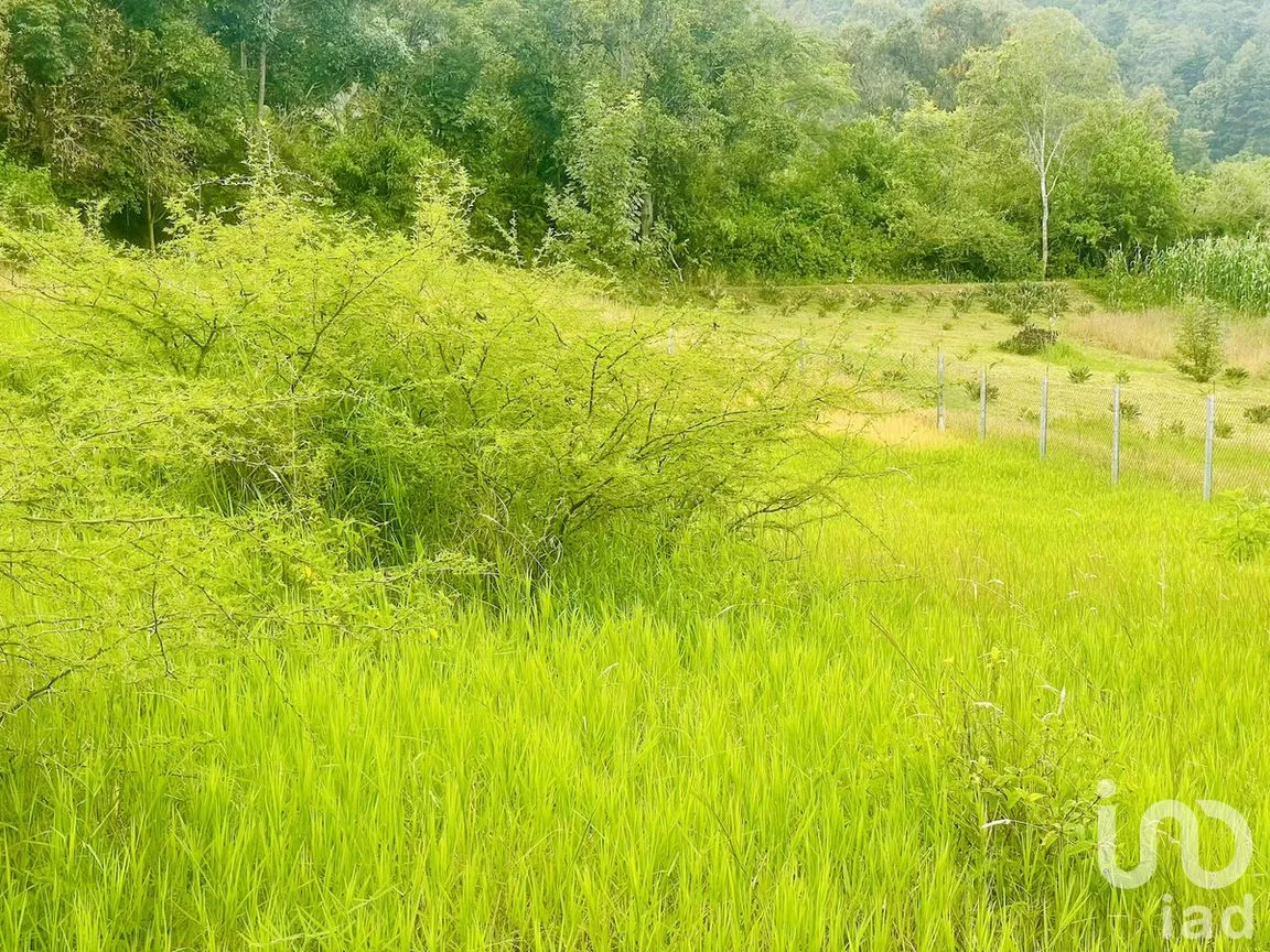 Terreno en Venta en Santa Magdalena Tilostoc, Valle de Bravo, Estado de México | NEX-273314 | iad México | Foto 8 de 13