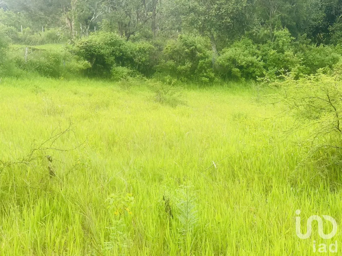 Terreno en Venta en Santa Magdalena Tilostoc, Valle de Bravo, Estado de México | NEX-273314 | iad México | Foto 9 de 13