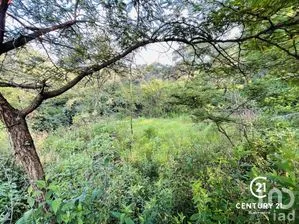 NEX-273482 - Terreno en Venta en Rincón de Estradas, CP 51207, Estado de México.