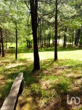 NEX-273496 - Terreno en Venta en Amanalco de Becerra, CP 51260, Estado de México.