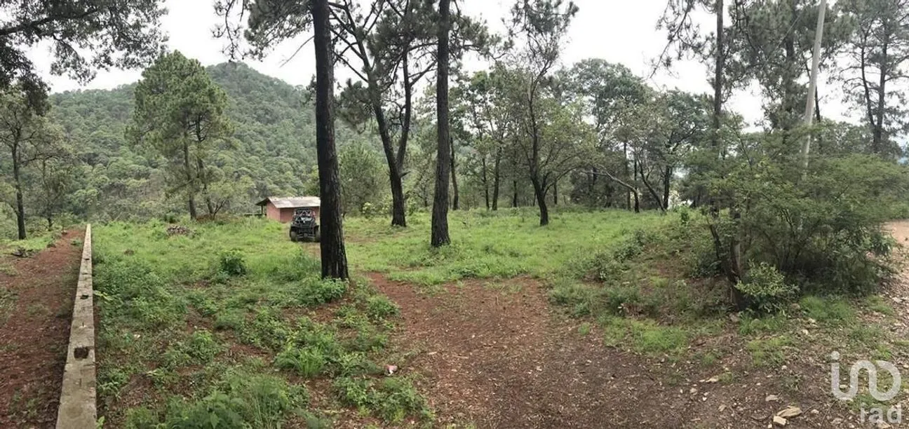 Terreno en Venta en Avándaro, Valle de Bravo, Estado de México | NEX-274801 | iad México | Foto 3 de 6