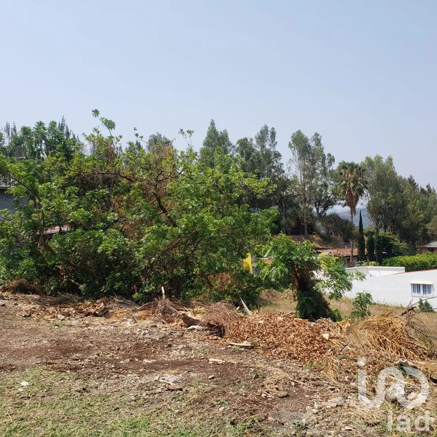 Terreno en Venta en San Gaspar, Valle de Bravo, Estado de México | NEX-274815 | iad México | Foto 7 de 8