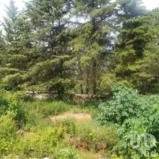 NEX-274822 - Terreno en Venta en Valle de Bravo, CP 51200, Estado de México.