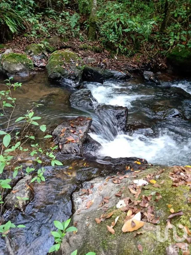 Terreno en Venta en Cerro Gordo, Valle de Bravo, Estado de México | NEX-274827 | iad México | Foto 2 de 9