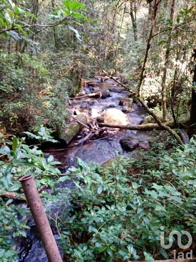 Terreno en Venta en Cerro Gordo, Valle de Bravo, Estado de México | NEX-274827 | iad México | Foto 3 de 9