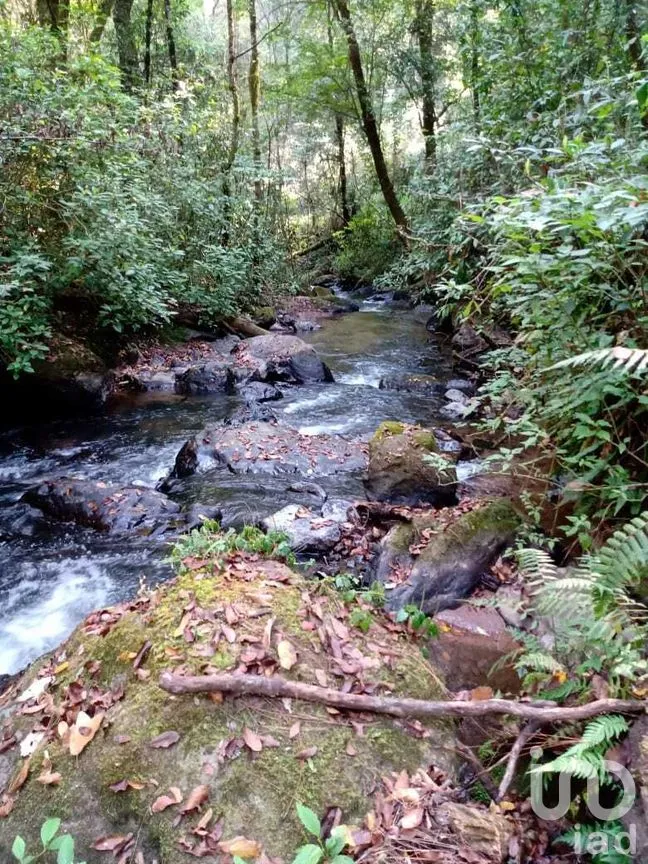 Terreno en Venta en Cerro Gordo, Valle de Bravo, Estado de México | NEX-274827 | iad México | Foto 4 de 9