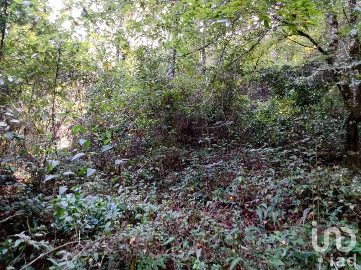 Terreno en Venta en Cerro Gordo, Valle de Bravo, Estado de México | NEX-274827 | iad México | Foto 7 de 9