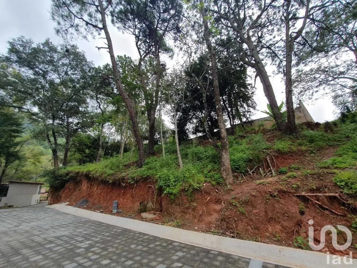 Terreno en Venta en Valle de Bravo, Valle de Bravo, Estado de México | NEX-274840 | iad México | Foto 2 de 16