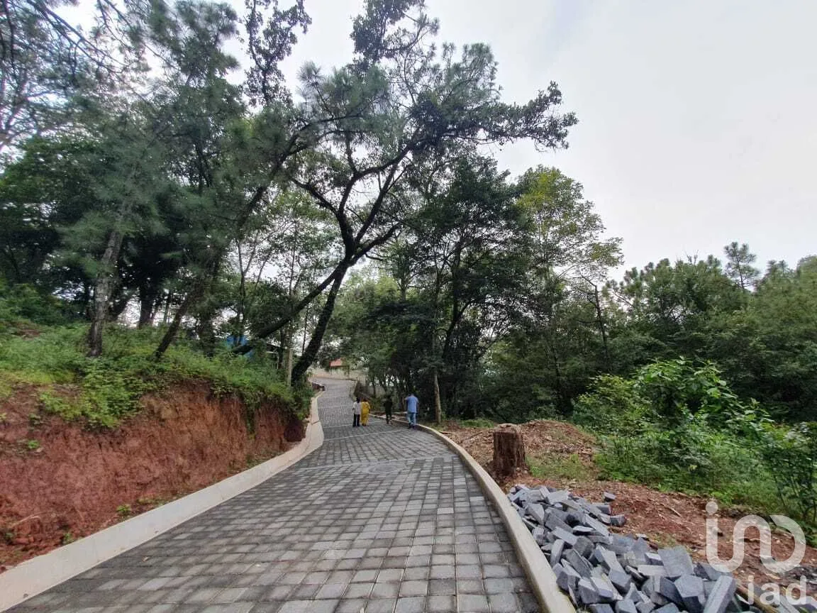 Terreno en Venta en Valle de Bravo, Valle de Bravo, Estado de México | NEX-274840 | iad México | Foto 3 de 16
