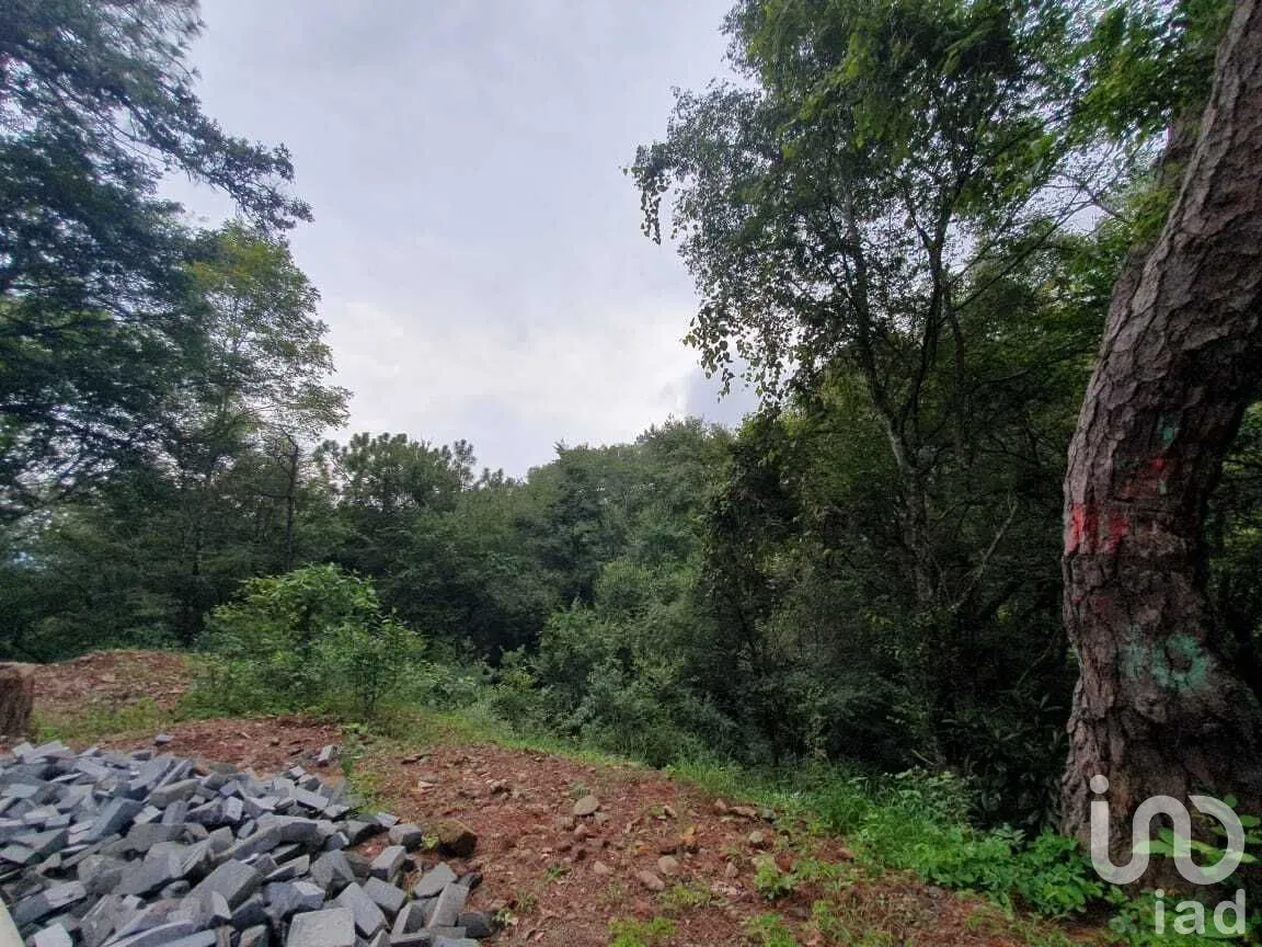 Terreno en Venta en Valle de Bravo, Valle de Bravo, Estado de México | NEX-274840 | iad México | Foto 4 de 16