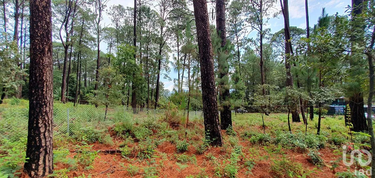 Terreno en Venta en Cerro Gordo, Valle de Bravo, Estado de México | NEX-274842 | iad México | Foto 11 de 13