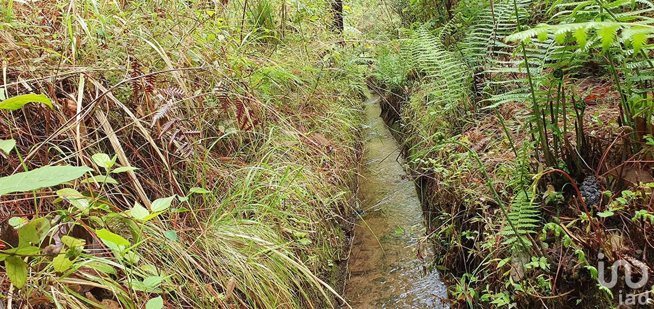 Terreno en Venta en Cerro Gordo, Valle de Bravo, Estado de México | NEX-274842 | iad México | Foto 3 de 13