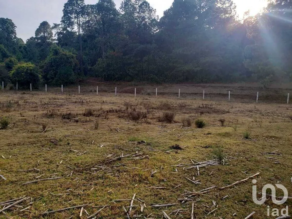 Terreno en Venta en Cuadrilla de Dolores, Valle de Bravo, Estado de México | NEX-274848 | iad México | Foto 3 de 5