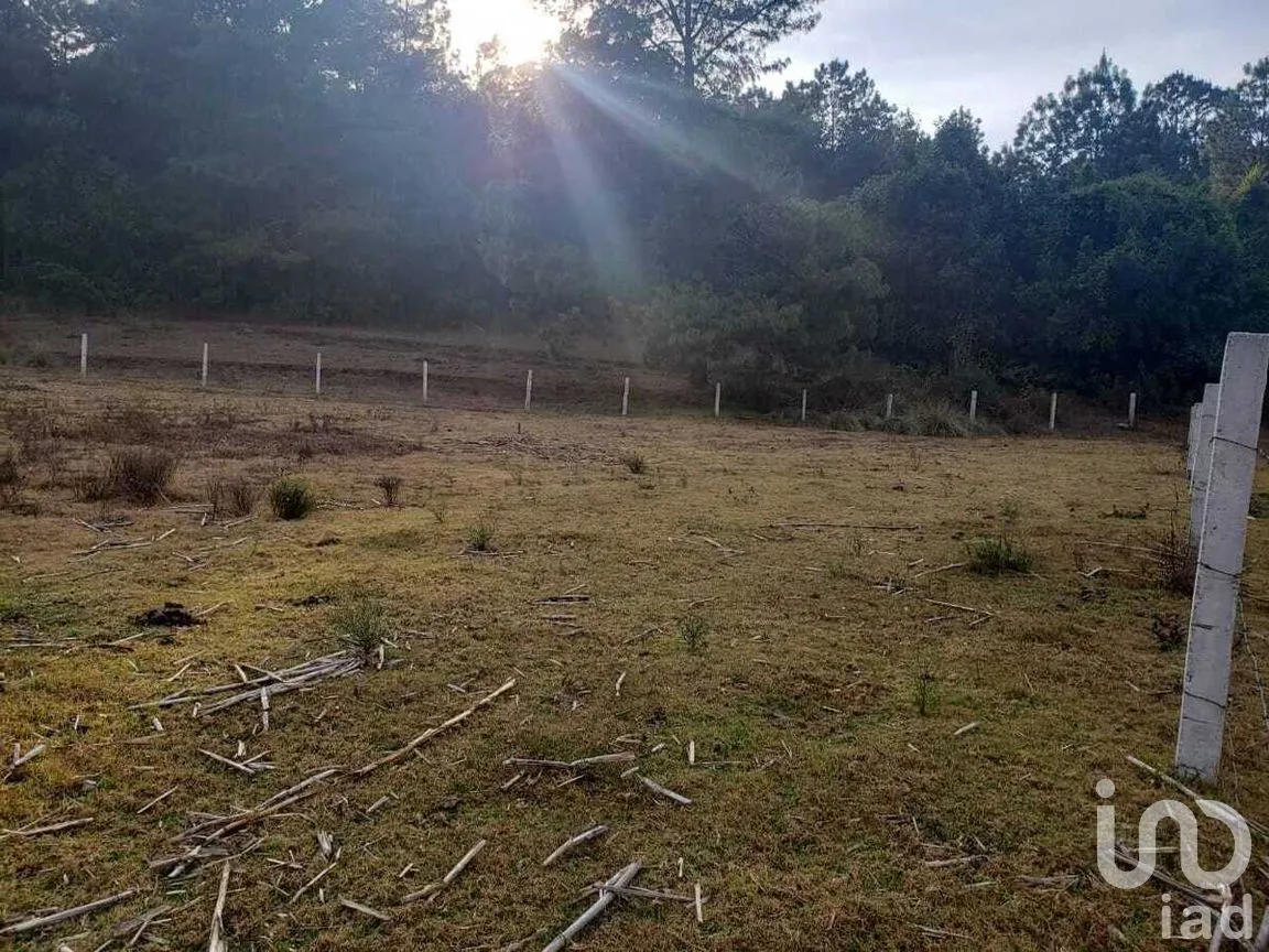 Terreno en Venta en Cuadrilla de Dolores, Valle de Bravo, Estado de México | NEX-274848 | iad México | Foto 4 de 5