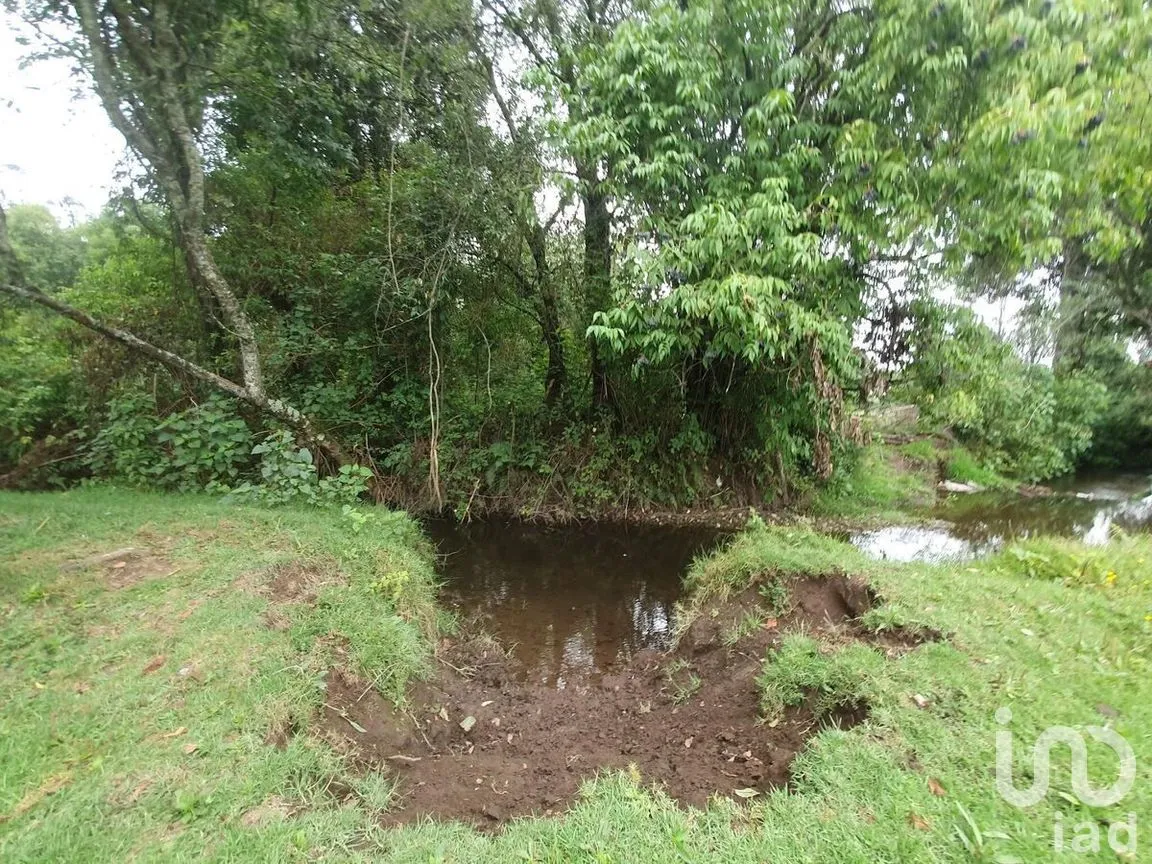 Terreno en Venta en Amanalco de Becerra, Amanalco, Estado de México | NEX-274871 | iad México | Foto 18 de 19
