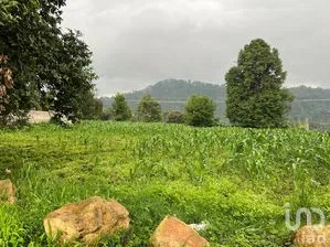 NEX-274885 - Terreno en Venta en Pipioltepec, CP 51209, Estado de México.