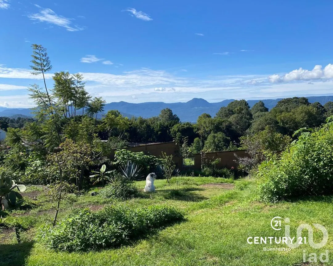 Casa en Venta en San Gabriel Ixtla, Valle de Bravo, Estado de México | NEX-274891 | iad México | Foto 16 de 21