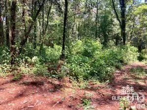 NEX-274892 - Terreno en Venta en Cerro Gordo, CP 51239, Estado de México.