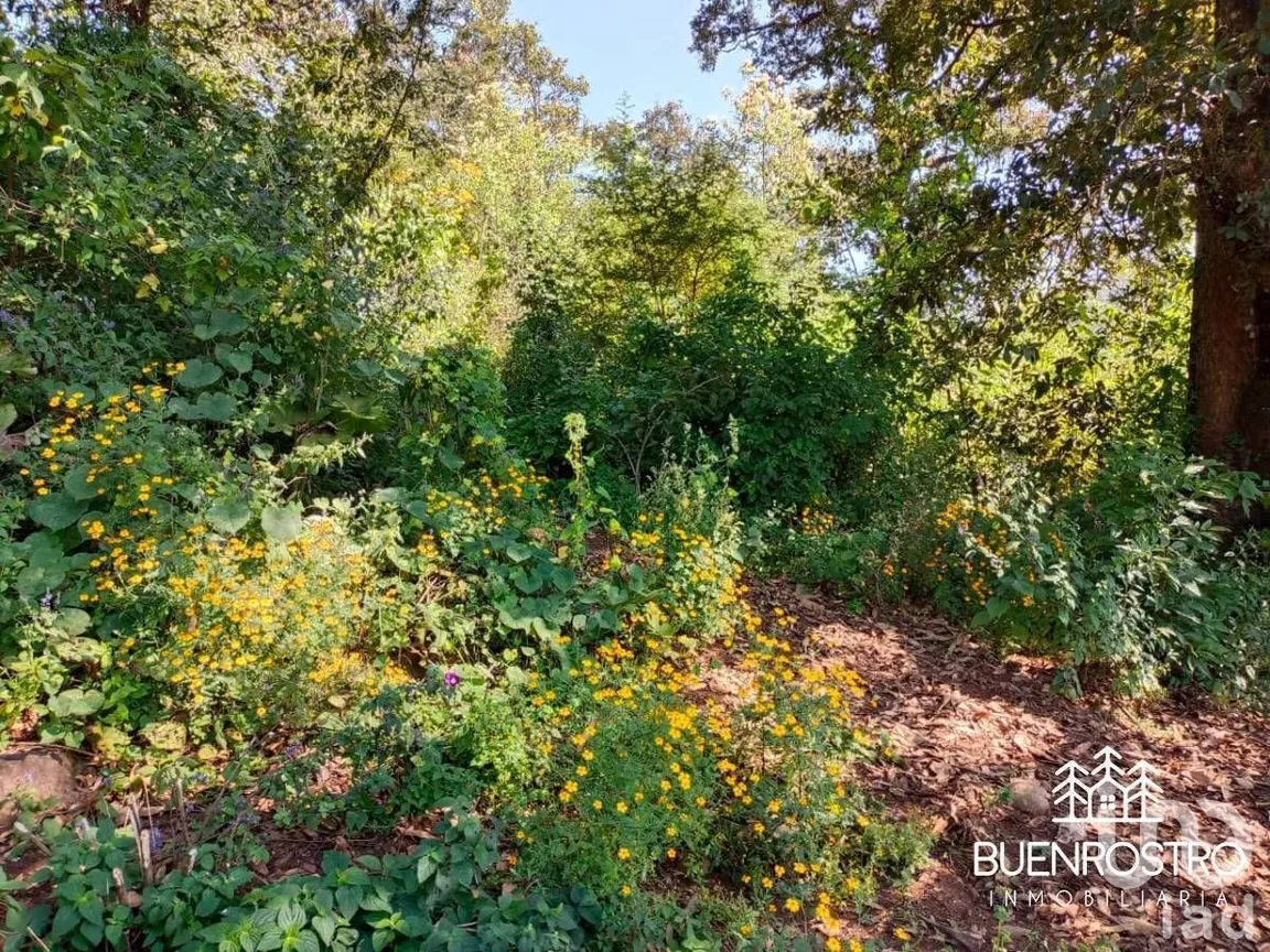 Terreno en Venta en Godínez O Tehuastepec, Valle de Bravo, Estado de México | NEX-274895 | iad México | Foto 12 de 14
