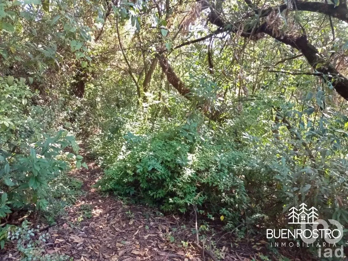 Terreno en Venta en Godínez O Tehuastepec, Valle de Bravo, Estado de México | NEX-274895 | iad México | Foto 13 de 14