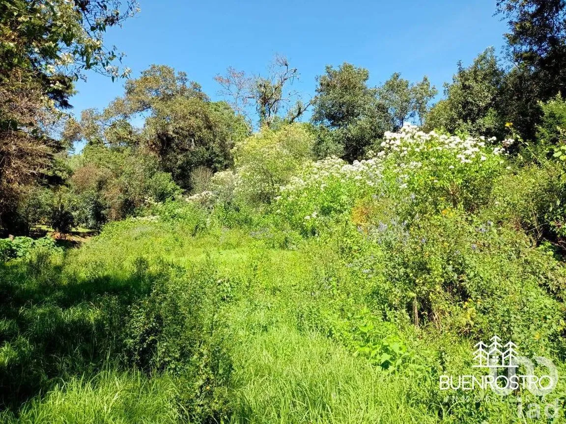 Terreno en Venta en Godínez O Tehuastepec, Valle de Bravo, Estado de México | NEX-274895 | iad México | Foto 3 de 14