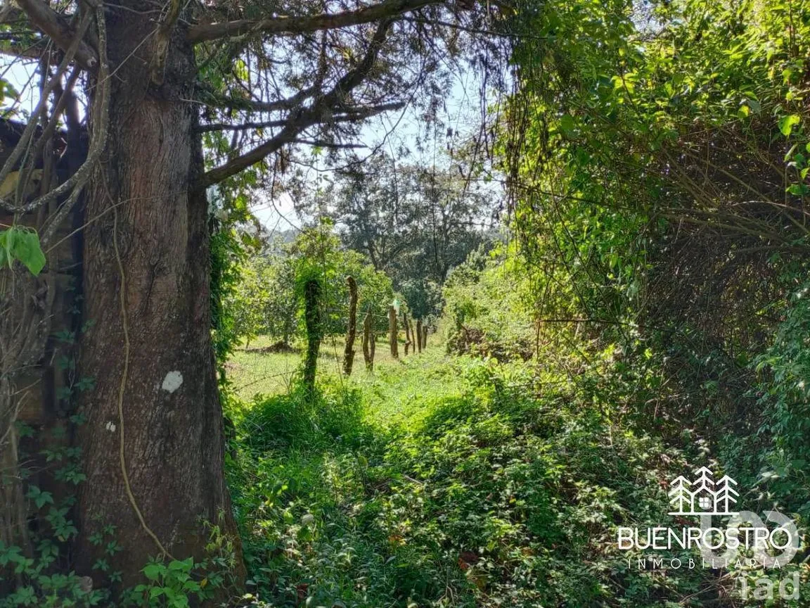 Terreno en Venta en Godínez O Tehuastepec, Valle de Bravo, Estado de México | NEX-274895 | iad México | Foto 4 de 14