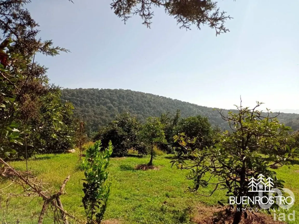 Terreno en Venta en Godínez O Tehuastepec, Valle de Bravo, Estado de México | NEX-274895 | iad México | Foto 5 de 14