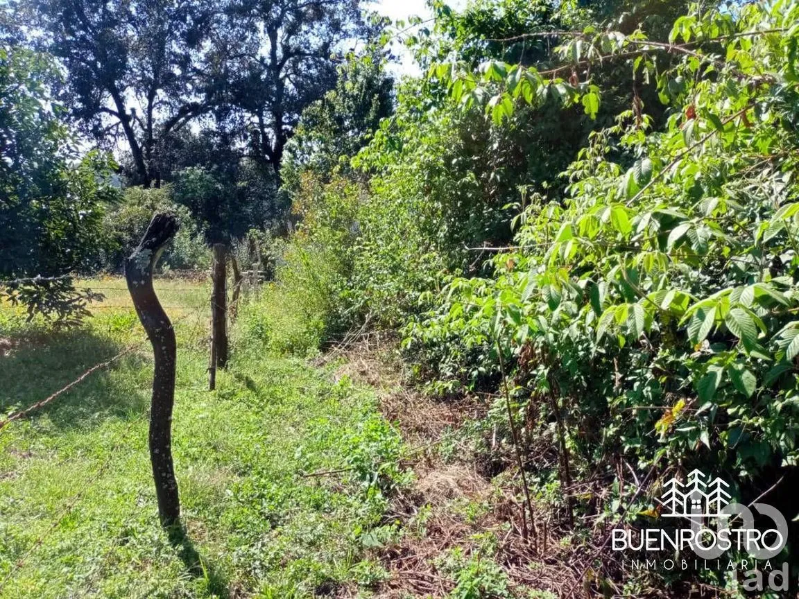 Terreno en Venta en Godínez O Tehuastepec, Valle de Bravo, Estado de México | NEX-274895 | iad México | Foto 6 de 14