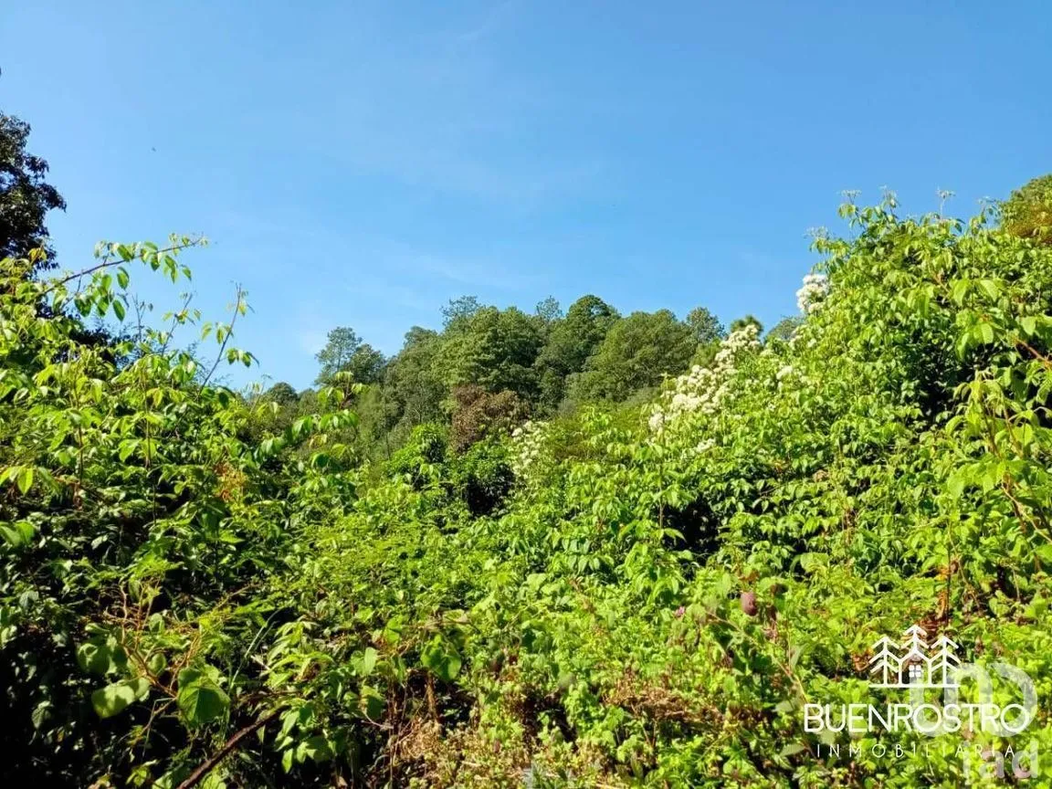 Terreno en Venta en Godínez O Tehuastepec, Valle de Bravo, Estado de México | NEX-274895 | iad México | Foto 7 de 14