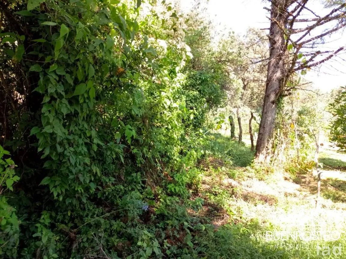 Terreno en Venta en Godínez O Tehuastepec, Valle de Bravo, Estado de México | NEX-274895 | iad México | Foto 8 de 14